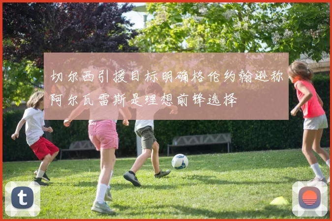 切尔西引援目标明确格伦约翰逊称阿尔瓦雷斯是理想前锋选择